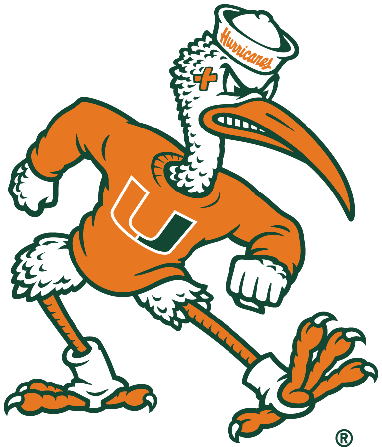 Miami Hurricanes 2024-Pres Secondary Logo diy iron on heat transfer